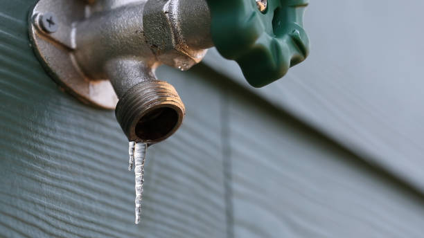 Best Septic Systems  in Biltmore, TN